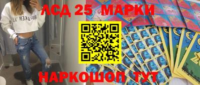 индика Моздок