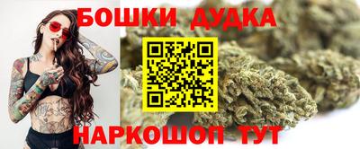 дживик Можга
