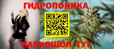 индика Моздок