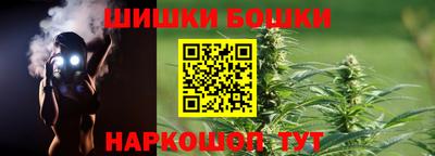 индика Моздок