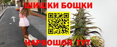 дживик Можга