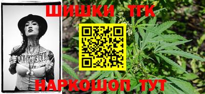 индика Моздок