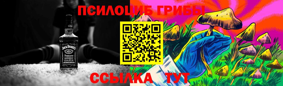 Галлюциногенные грибы Psilocybine cubensis  Вход с VPN  Ялуторовск 